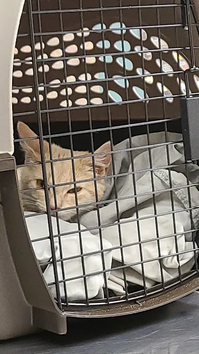 Quakertown Veterinary Clinic 12