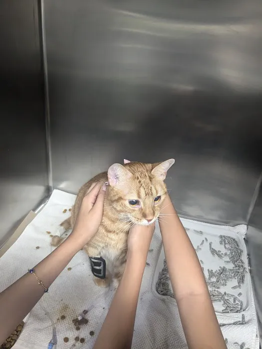 Quakertown Veterinary Clinic 12