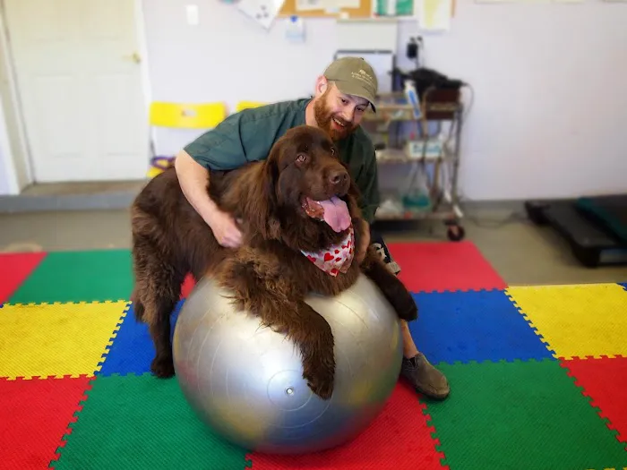 AnWell Veterinary Rehab & Conditioning Center 1