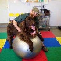 AnWell Veterinary Rehab & Conditioning Center ico