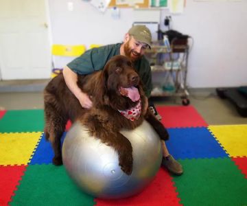 AnWell Veterinary Rehab & Conditioning Center