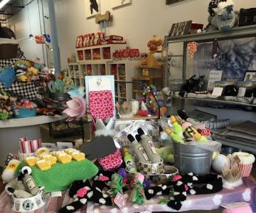 Wag Natural Pet Market & Grooming Tampa
