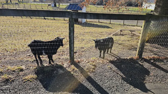 Spring Mills Veterinary Hospital 8