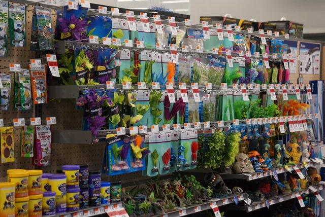 Pet Supplies Plus Land O'Lakes 12