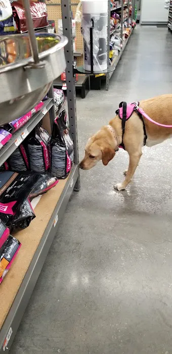 Pet Supplies Plus Land O'Lakes 12
