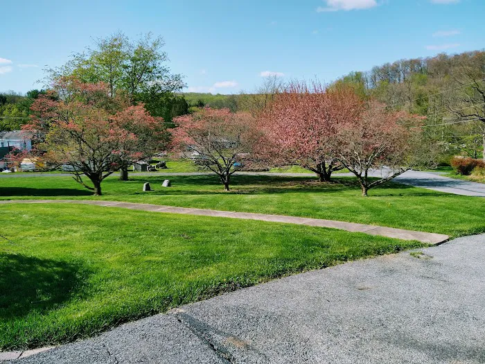 Saucon Valley Animal Hospital 12