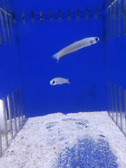 What's In Your Tank 12