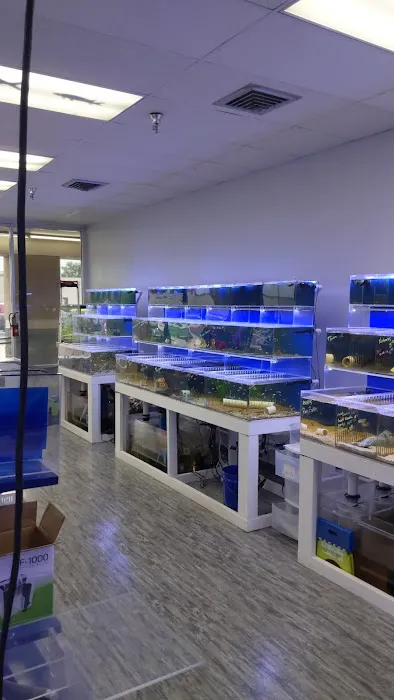 What's In Your Tank 12