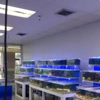 What's In Your Tank ico