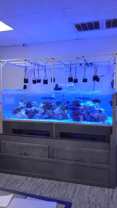 What's In Your Tank 12