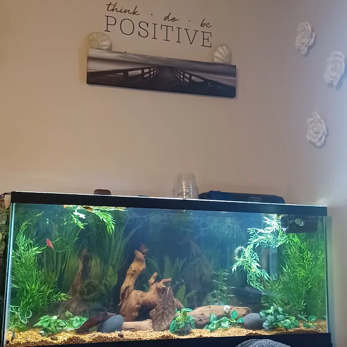 What's In Your Tank 12