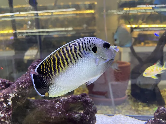 What's In Your Tank 12
