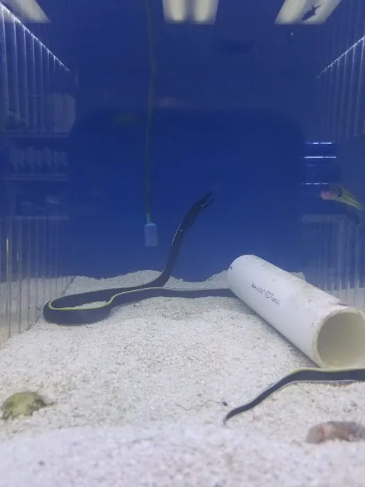 What's In Your Tank 12
