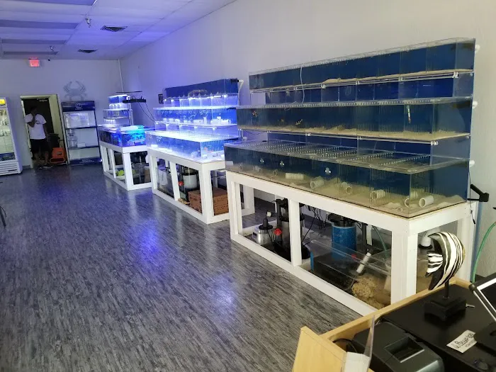 What's In Your Tank 12