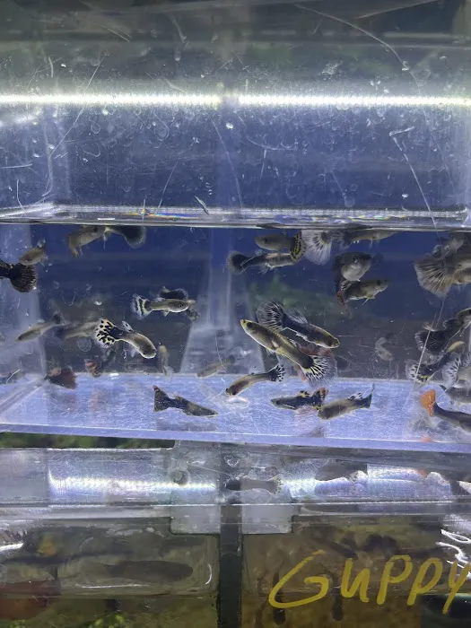 What's In Your Tank 12