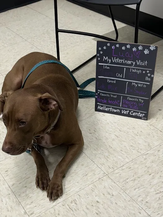 Hellertown Veterinary Center 12