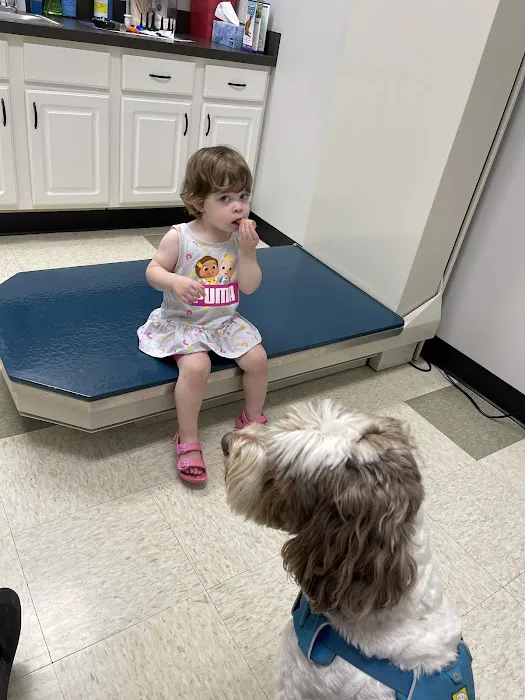 Hellertown Veterinary Center 12