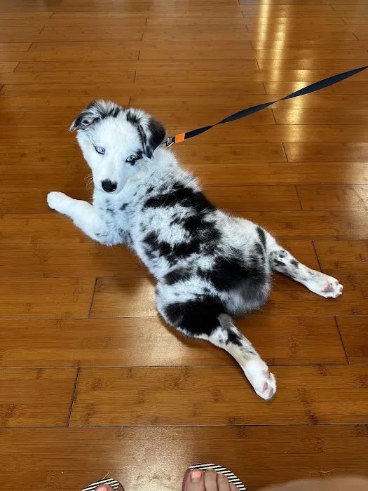 Hellertown Veterinary Center 12