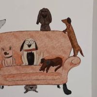 Hellertown Veterinary Center ico