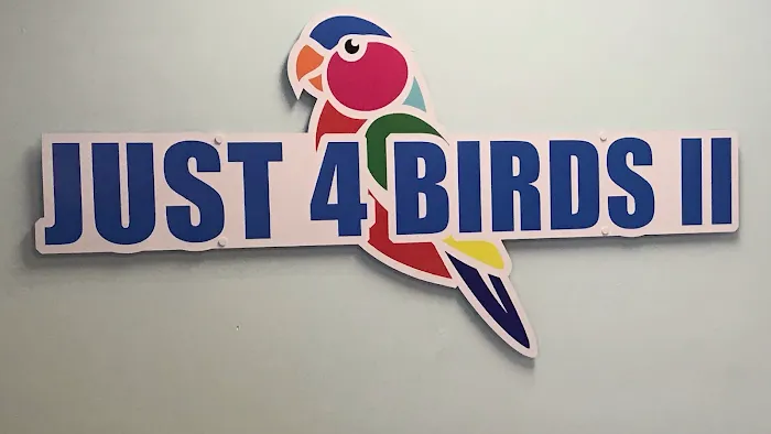 Just4BirdsII 12