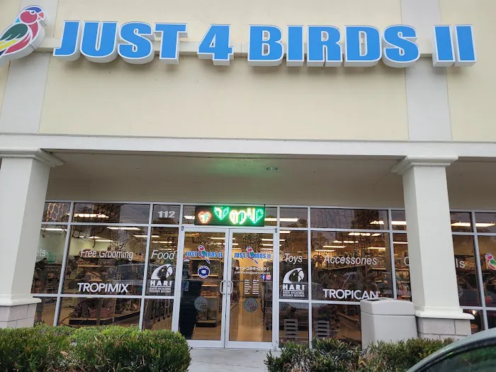 Just4BirdsII 12