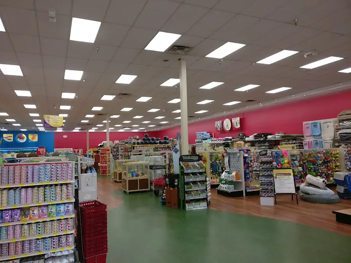 Pet Supermarket 12