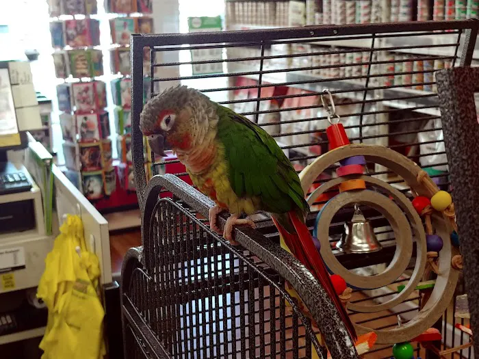 Pet Supermarket 12