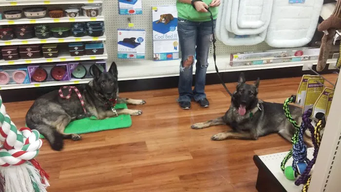 Pet Supermarket 12