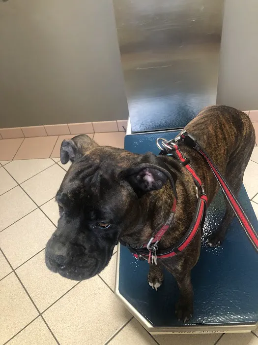 Jefferson Road Animal Hospital 12