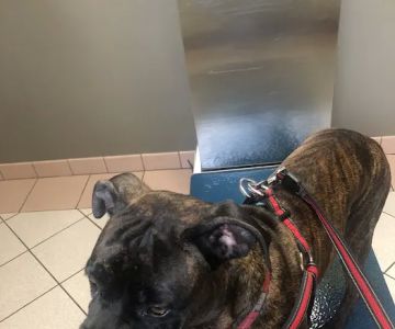Jefferson Road Animal Hospital