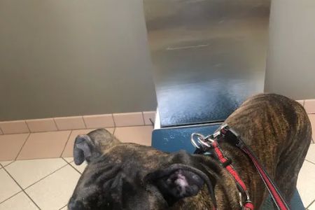 Jefferson Road Animal Hospital