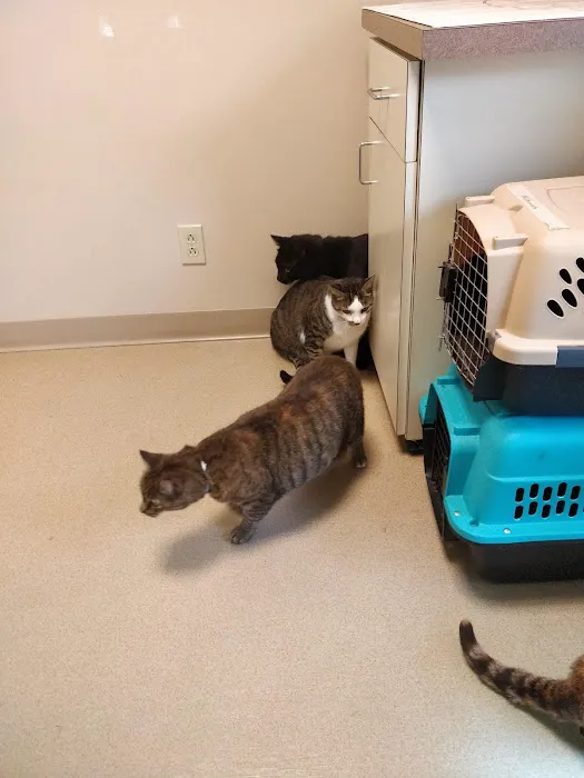 Jefferson Road Animal Hospital 12