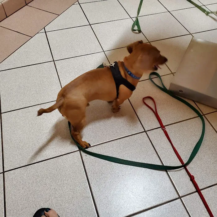 Jefferson Road Animal Hospital 12