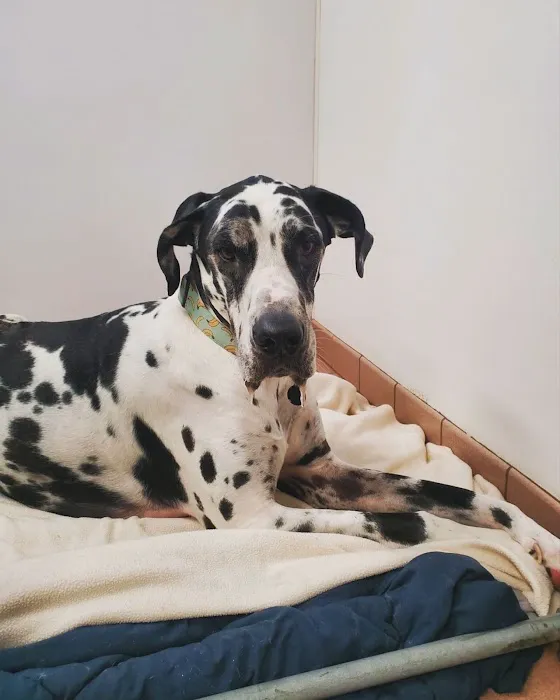 Jefferson Road Animal Hospital 12