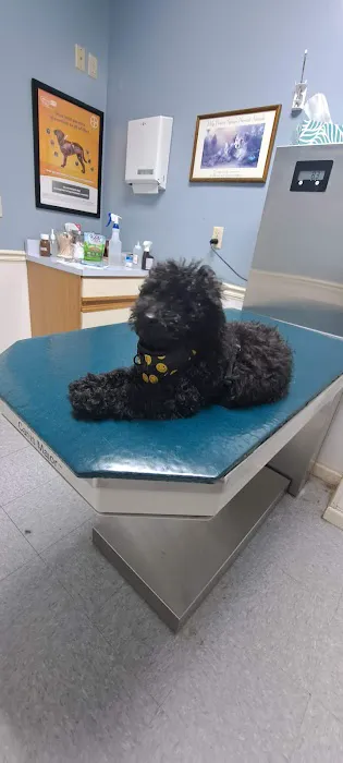 Tippecanoe Animal Hospital 1
