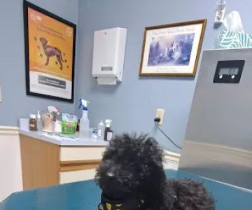 Tippecanoe Animal Hospital