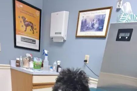 Tippecanoe Animal Hospital