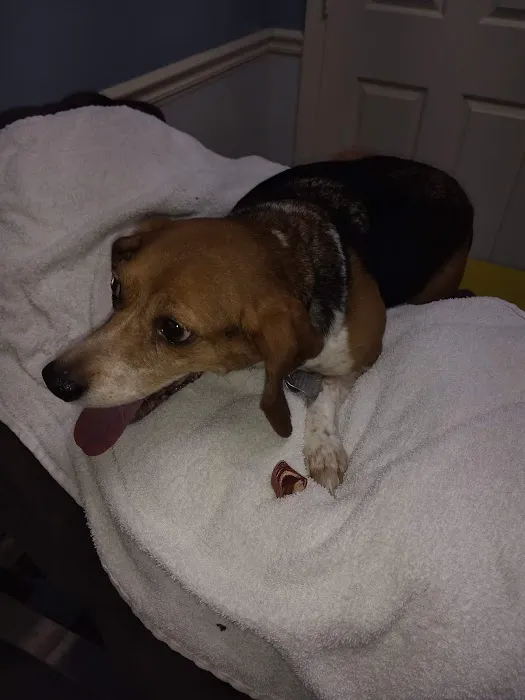 Tippecanoe Animal Hospital 4