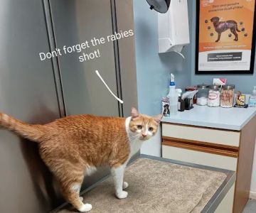 Tippecanoe Animal Hospital Inc: Becker Julia M DVM