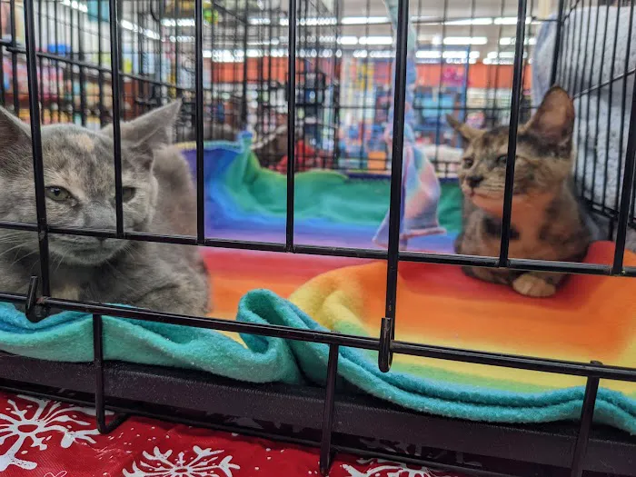 Pet Supermarket 4