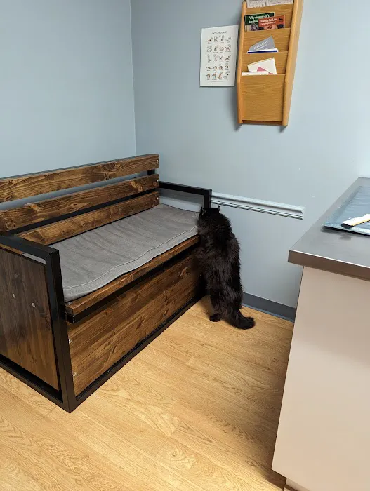 Greater Lafayette Cat Hospital 12