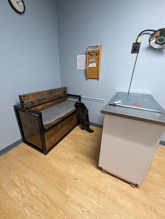 Greater Lafayette Cat Hospital 12