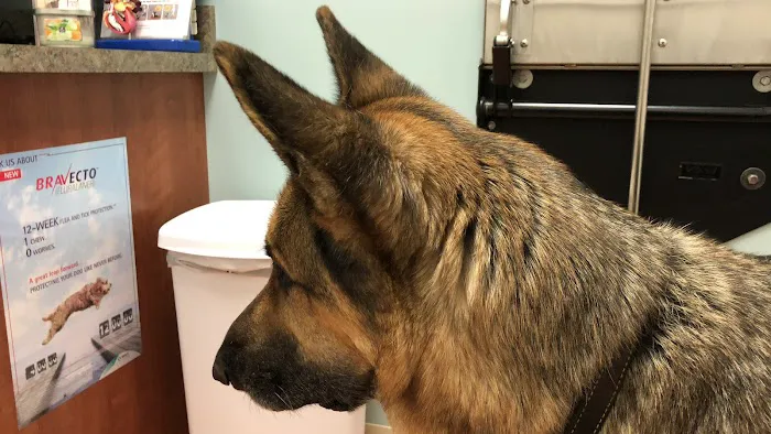 WEA Animal Hospital 12