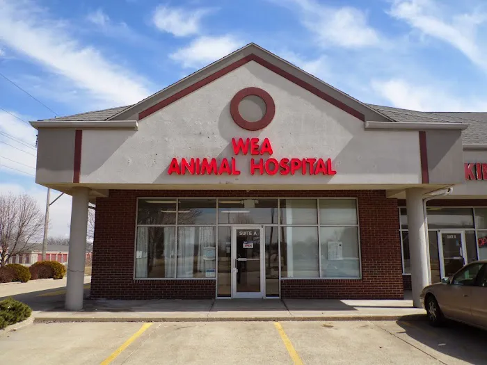WEA Animal Hospital 12