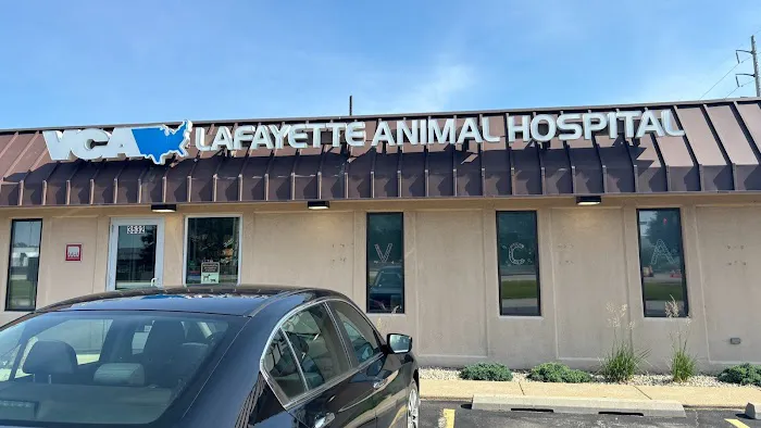 VCA Lafayette Animal Hospital 12