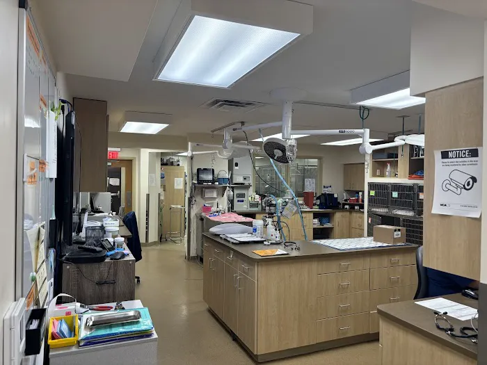 VCA Lafayette Animal Hospital 12