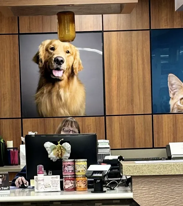 VCA Lafayette Animal Hospital 12