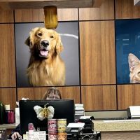 VCA Lafayette Animal Hospital ico