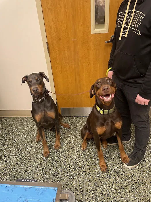 VCA Lafayette Animal Hospital 12