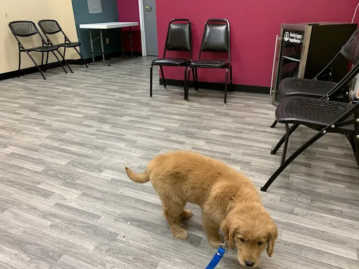 Wildcat Valley Animal Clinic, Inc. 12